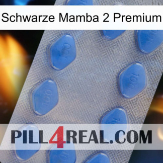 Black Mamba 2 Premium 21
